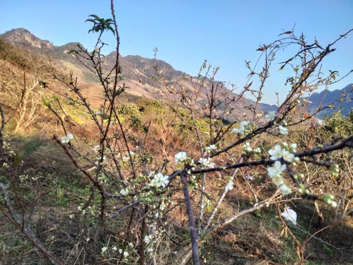 Muong Sang Farmstay Moc Chau Exterior photo